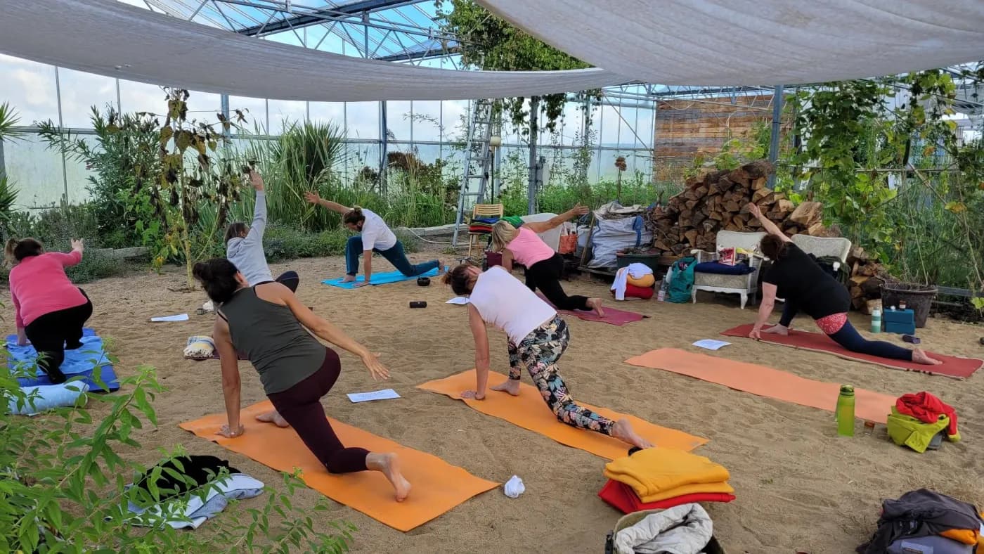 Yogagruppe übt auf Matten im Kräutergewächshaus